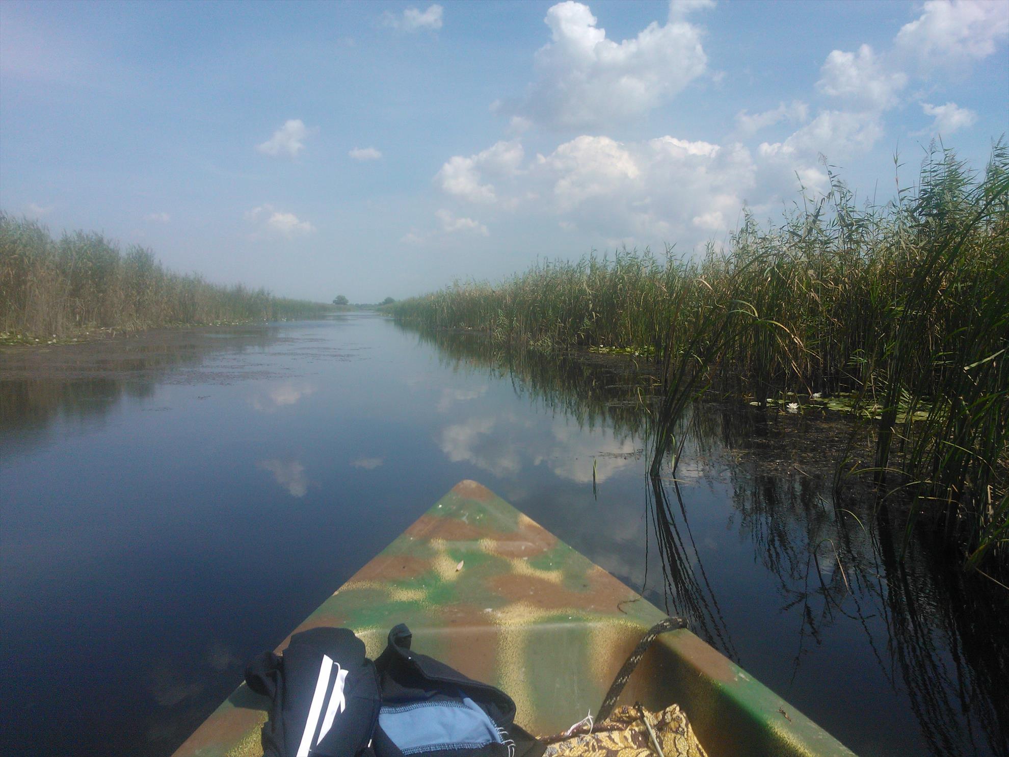 Delta Dunarii - Delta Paradis - wp000244.jpg